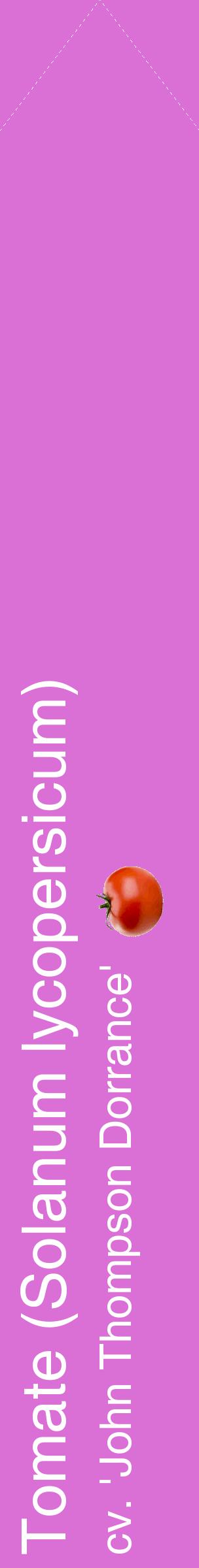 Étiquette de : Solanum lycopersicum cv. 'John Thompson Dorrance' - format c - style blanche52_simplehel avec comestibilité simplifiée