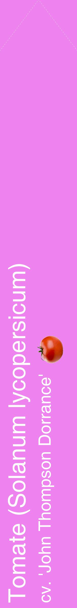 Étiquette de : Solanum lycopersicum cv. 'John Thompson Dorrance' - format c - style blanche53_simplehel avec comestibilité simplifiée