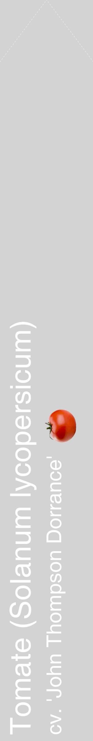 Étiquette de : Solanum lycopersicum cv. 'John Thompson Dorrance' - format c - style blanche56_simplehel avec comestibilité simplifiée