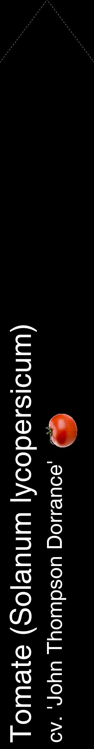 Étiquette de : Solanum lycopersicum cv. 'John Thompson Dorrance' - format c - style blanche59_simplehel avec comestibilité simplifiée