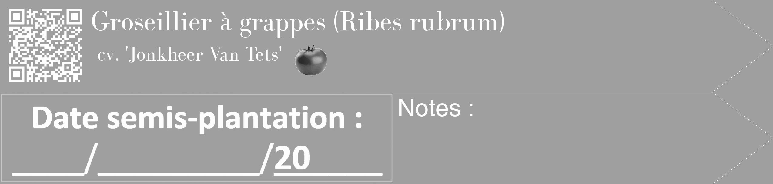 Étiquette de : Ribes rubrum cv. 'Jonkheer Van Tets' - format c - style blanche24_simple_simplebod avec qrcode et comestibilité simplifiée