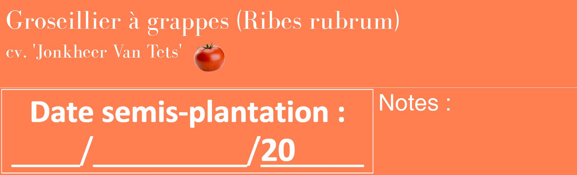 Étiquette de : Ribes rubrum cv. 'Jonkheer Van Tets' - format c - style blanche24_basique_basiquebod avec comestibilité simplifiée