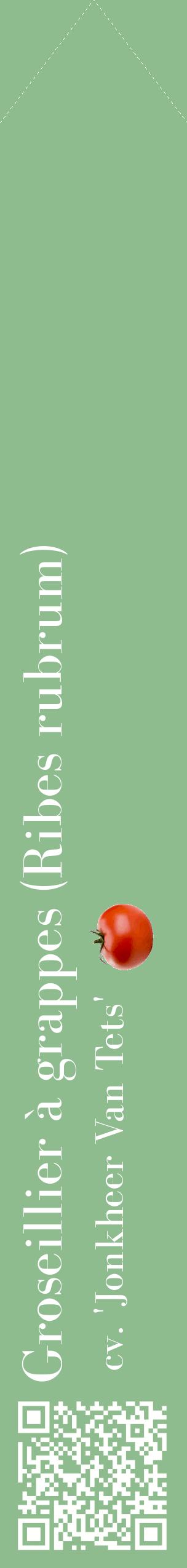 Étiquette de : Ribes rubrum cv. 'Jonkheer Van Tets' - format c - style blanche13_simplebod avec qrcode et comestibilité simplifiée