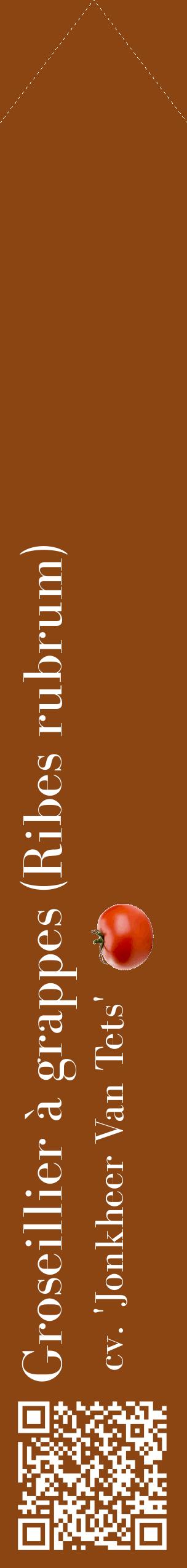 Étiquette de : Ribes rubrum cv. 'Jonkheer Van Tets' - format c - style blanche30_simplebod avec qrcode et comestibilité simplifiée