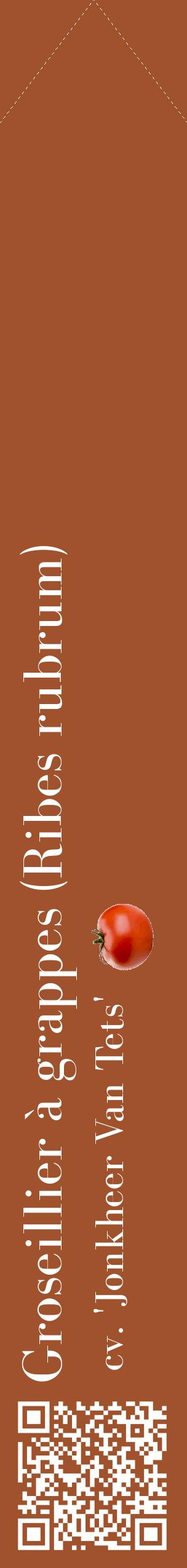 Étiquette de : Ribes rubrum cv. 'Jonkheer Van Tets' - format c - style blanche32_simplebod avec qrcode et comestibilité simplifiée