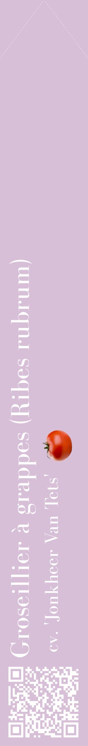 Étiquette de : Ribes rubrum cv. 'Jonkheer Van Tets' - format c - style blanche54_simplebod avec qrcode et comestibilité simplifiée
