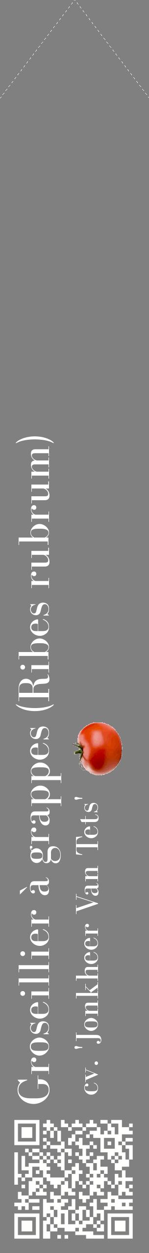Étiquette de : Ribes rubrum cv. 'Jonkheer Van Tets' - format c - style blanche57_simplebod avec qrcode et comestibilité simplifiée