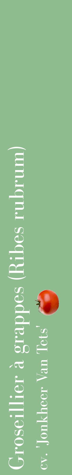 Étiquette de : Ribes rubrum cv. 'Jonkheer Van Tets' - format c - style blanche13_basiquebod avec comestibilité simplifiée