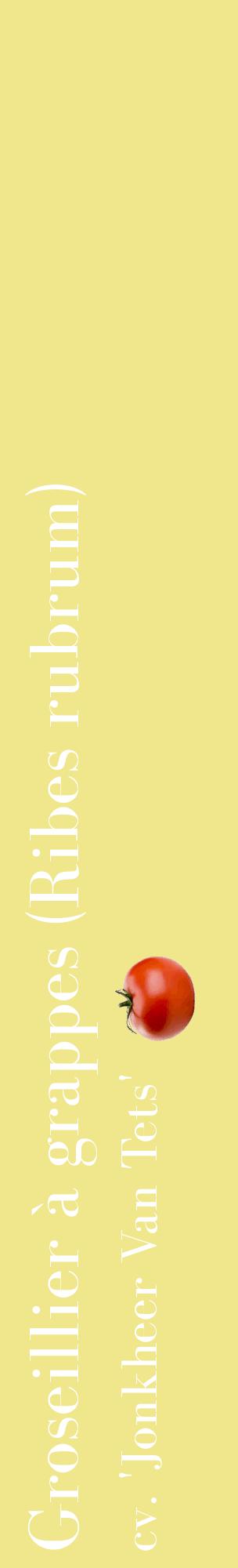 Étiquette de : Ribes rubrum cv. 'Jonkheer Van Tets' - format c - style blanche20_basiquebod avec comestibilité simplifiée