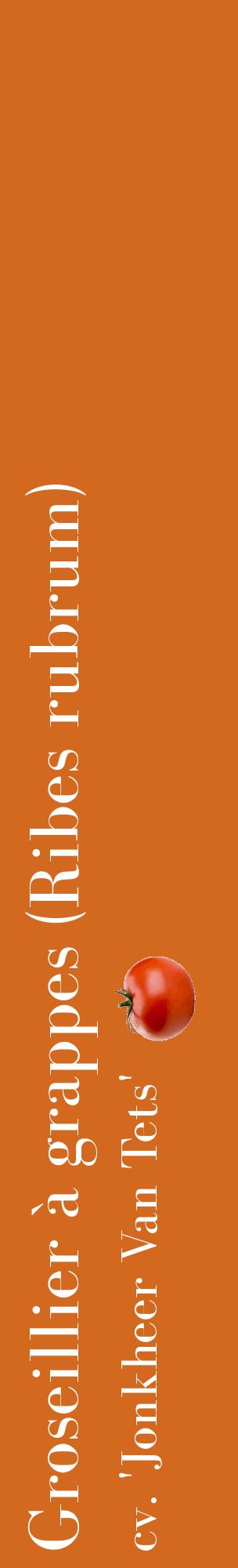 Étiquette de : Ribes rubrum cv. 'Jonkheer Van Tets' - format c - style blanche31_basiquebod avec comestibilité simplifiée