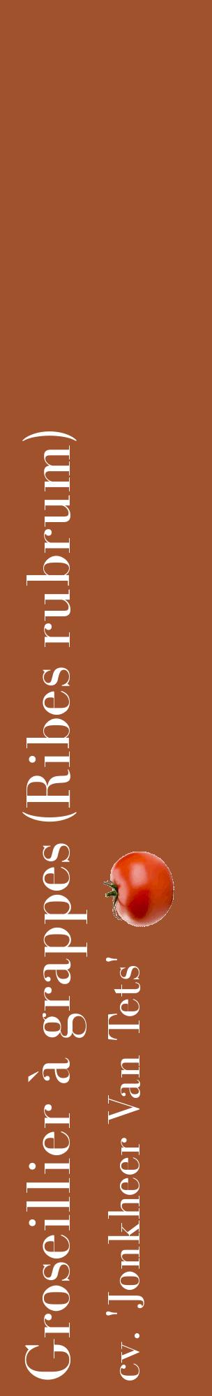 Étiquette de : Ribes rubrum cv. 'Jonkheer Van Tets' - format c - style blanche32_basiquebod avec comestibilité simplifiée