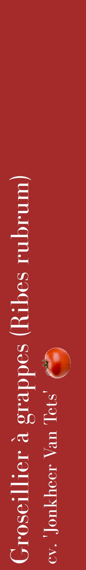 Étiquette de : Ribes rubrum cv. 'Jonkheer Van Tets' - format c - style blanche33_basiquebod avec comestibilité simplifiée