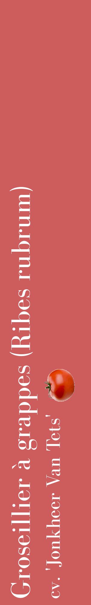 Étiquette de : Ribes rubrum cv. 'Jonkheer Van Tets' - format c - style blanche35_basiquebod avec comestibilité simplifiée