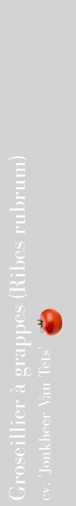 Étiquette de : Ribes rubrum cv. 'Jonkheer Van Tets' - format c - style blanche56_basiquebod avec comestibilité simplifiée