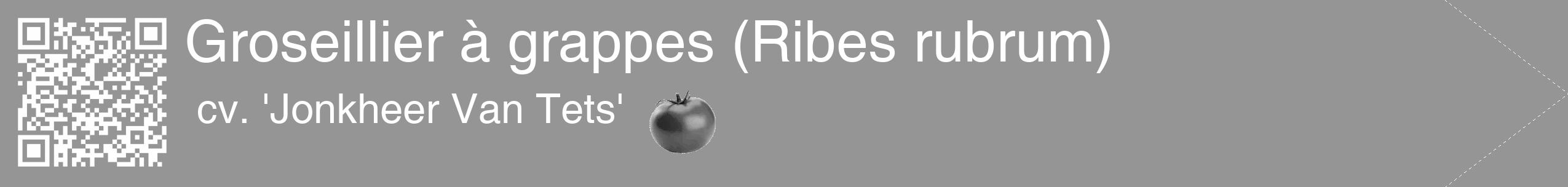 Étiquette de : Ribes rubrum cv. 'Jonkheer Van Tets' - format c - style blanche16_simple_simplehel avec qrcode et comestibilité simplifiée
