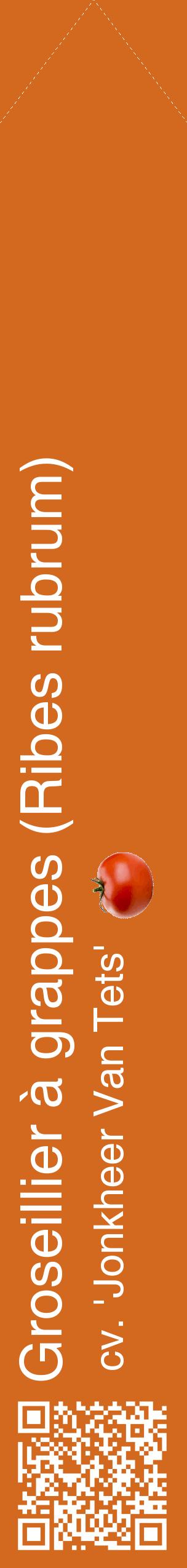 Étiquette de : Ribes rubrum cv. 'Jonkheer Van Tets' - format c - style blanche31_simplehel avec qrcode et comestibilité simplifiée