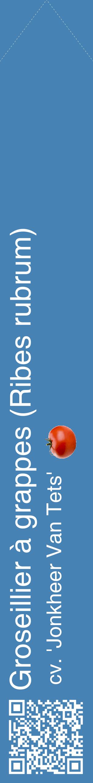 Étiquette de : Ribes rubrum cv. 'Jonkheer Van Tets' - format c - style blanche5_simplehel avec qrcode et comestibilité simplifiée