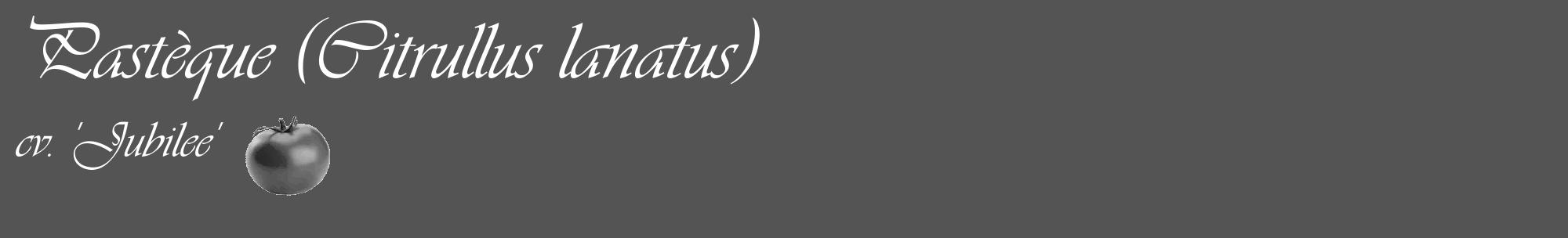 Étiquette de : Citrullus lanatus cv. 'Jubilee' - format c - style blanche30_basique_basiqueviv avec comestibilité simplifiée