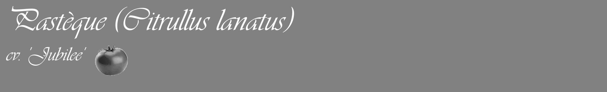 Étiquette de : Citrullus lanatus cv. 'Jubilee' - format c - style blanche50_basique_basiqueviv avec comestibilité simplifiée