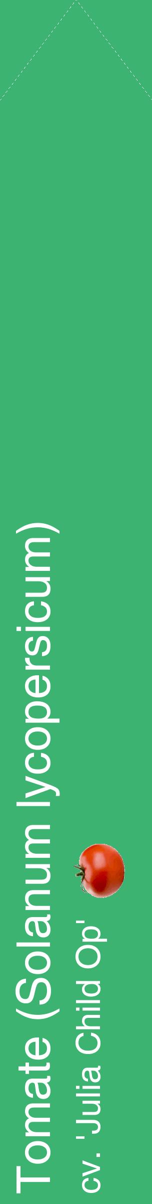 Étiquette de : Solanum lycopersicum cv. 'Julia Child Op' - format c - style blanche12_simplehel avec comestibilité simplifiée