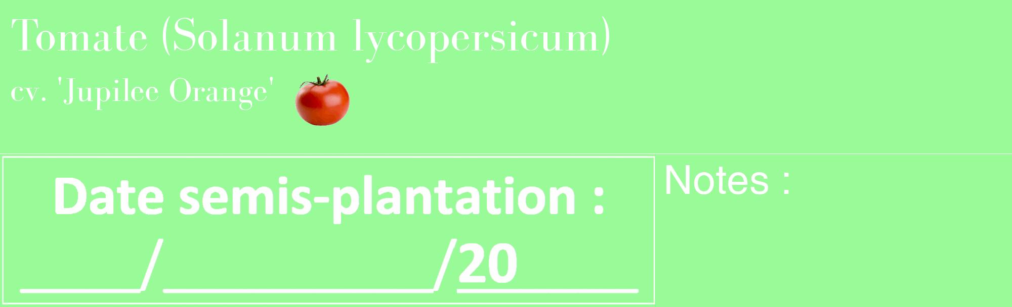 Étiquette de : Solanum lycopersicum cv. 'Jupilee Orange' - format c - style blanche14_basique_basiquebod avec comestibilité simplifiée
