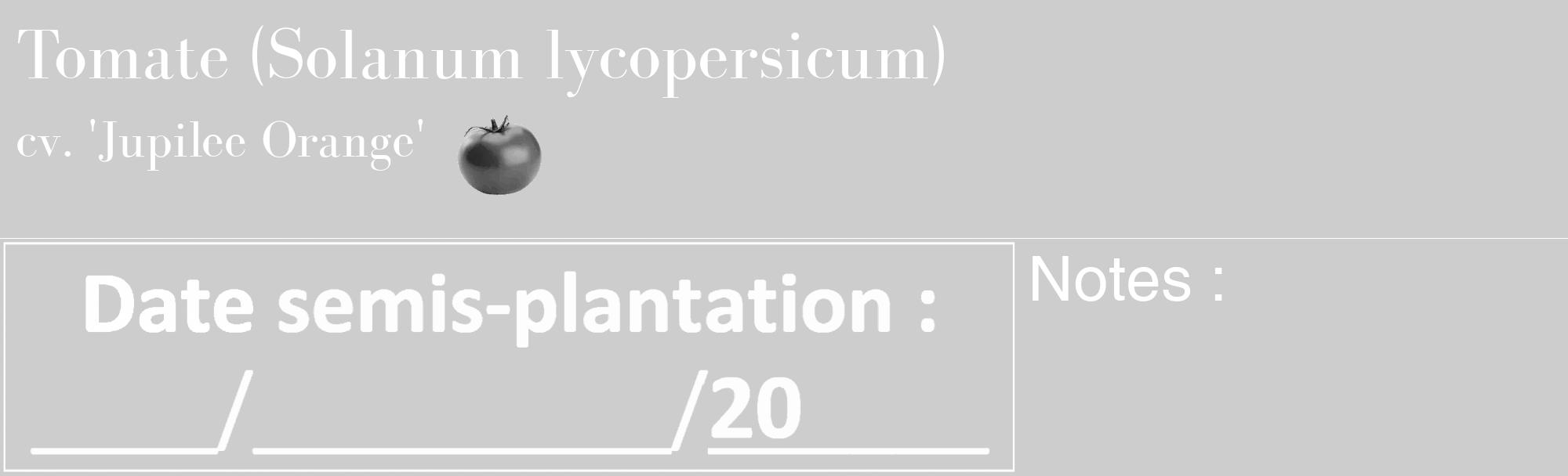 Étiquette de : Solanum lycopersicum cv. 'Jupilee Orange' - format c - style blanche41_basique_basiquebod avec comestibilité simplifiée