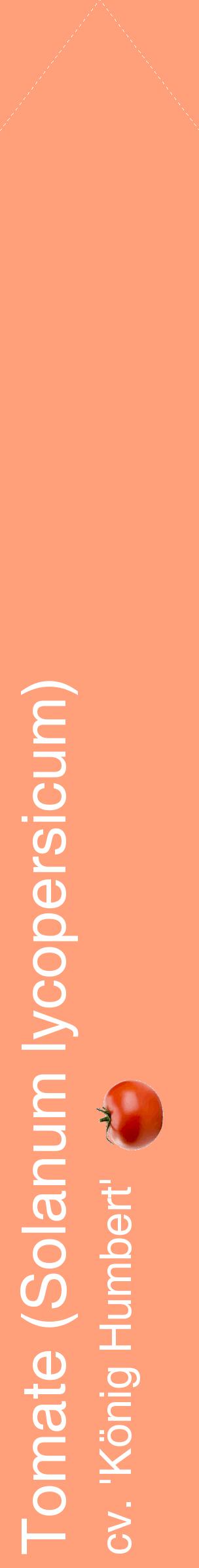 Étiquette de : Solanum lycopersicum cv. 'König Humbert' - format c - style blanche39_simplehel avec comestibilité simplifiée