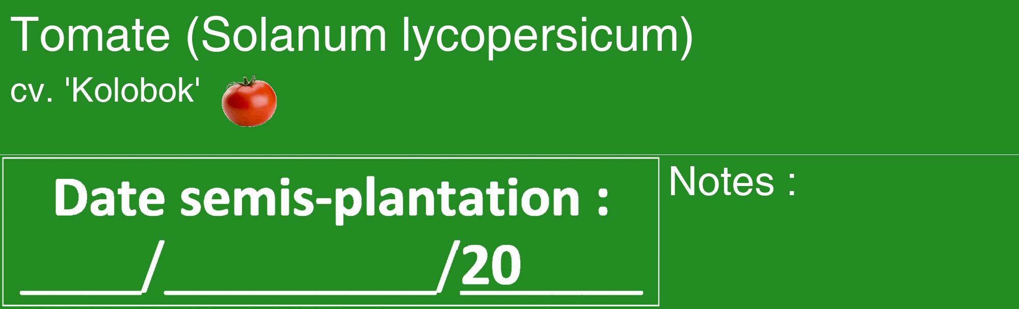 Étiquette de : Solanum lycopersicum cv. 'Kolobok' - format c - style blanche10_basique_basiquehel avec comestibilité simplifiée