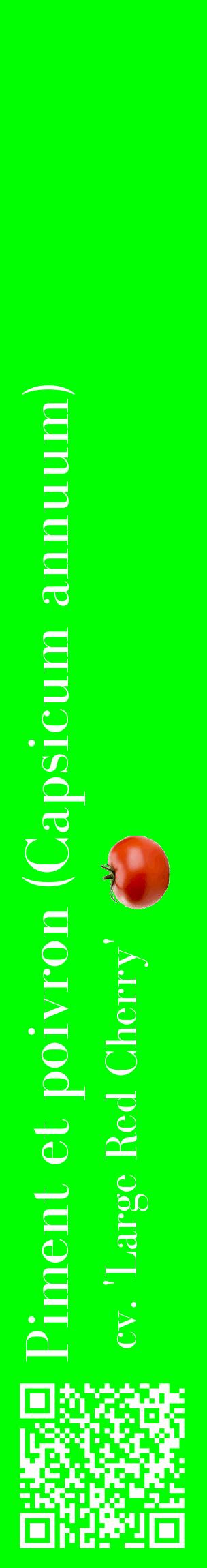 Étiquette de : Capsicum annuum cv. 'Large Red Cherry' - format c - style blanche16_basiquebod avec qrcode et comestibilité simplifiée