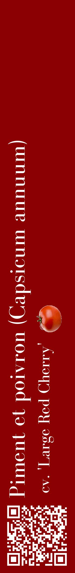Étiquette de : Capsicum annuum cv. 'Large Red Cherry' - format c - style blanche34_basiquebod avec qrcode et comestibilité simplifiée