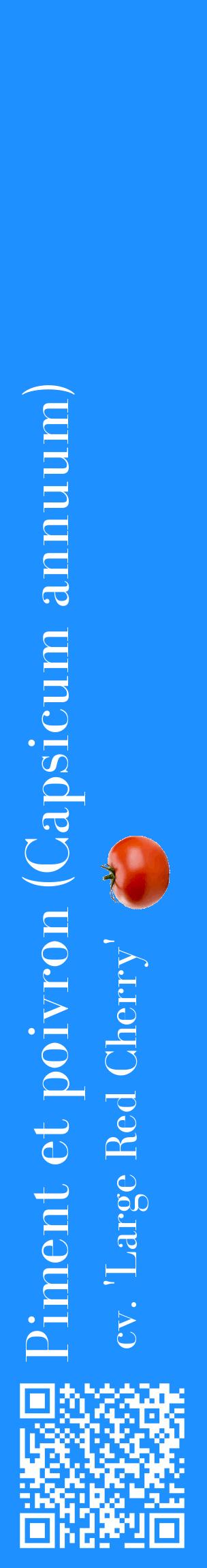 Étiquette de : Capsicum annuum cv. 'Large Red Cherry' - format c - style blanche3_basiquebod avec qrcode et comestibilité simplifiée