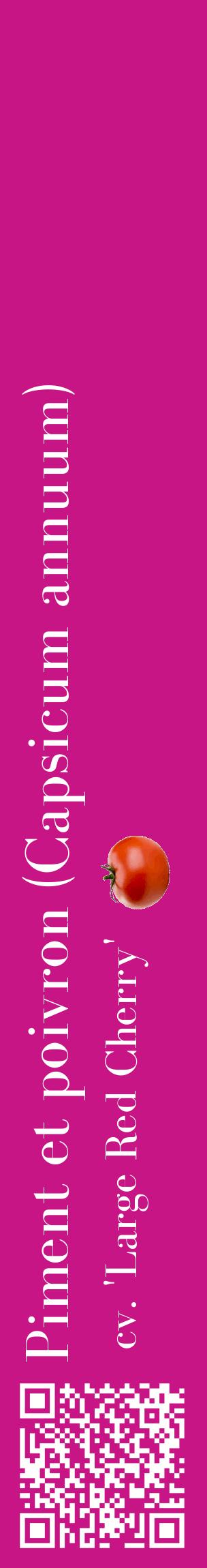 Étiquette de : Capsicum annuum cv. 'Large Red Cherry' - format c - style blanche45_basiquebod avec qrcode et comestibilité simplifiée