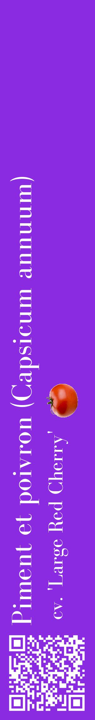 Étiquette de : Capsicum annuum cv. 'Large Red Cherry' - format c - style blanche49_basiquebod avec qrcode et comestibilité simplifiée