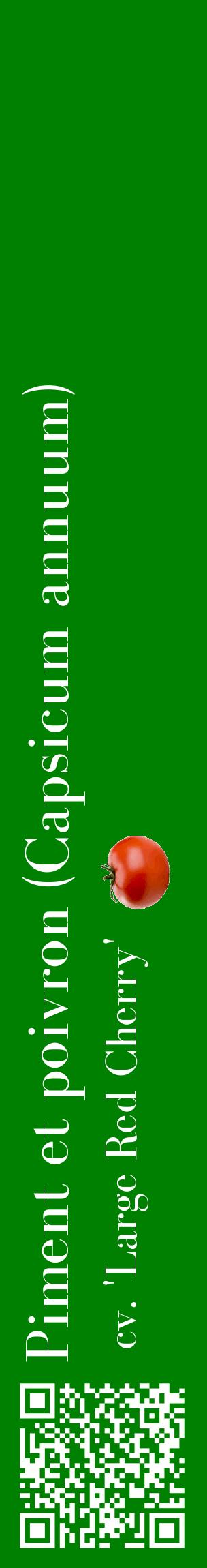 Étiquette de : Capsicum annuum cv. 'Large Red Cherry' - format c - style blanche9_basiquebod avec qrcode et comestibilité simplifiée