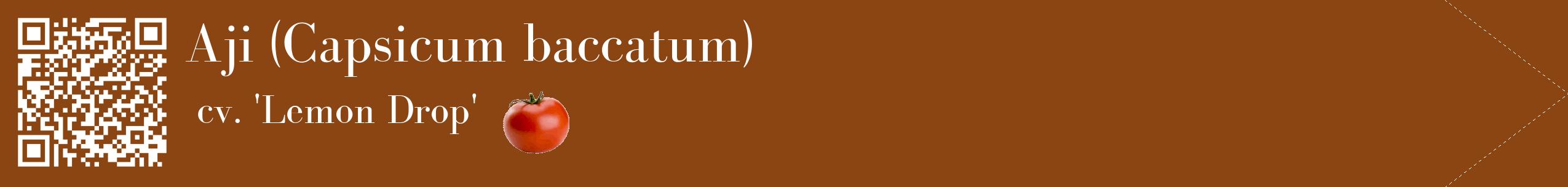 Étiquette de : Capsicum baccatum cv. 'Lemon Drop' - format c - style blanche30simple_simple_simplebod avec qrcode et comestibilité simplifiée