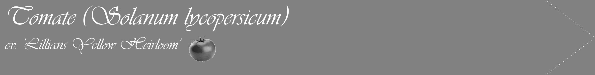 Étiquette de : Solanum lycopersicum cv. 'Lillians Yellow Heirloom' - format c - style blanche50_simple_simpleviv avec comestibilité simplifiée