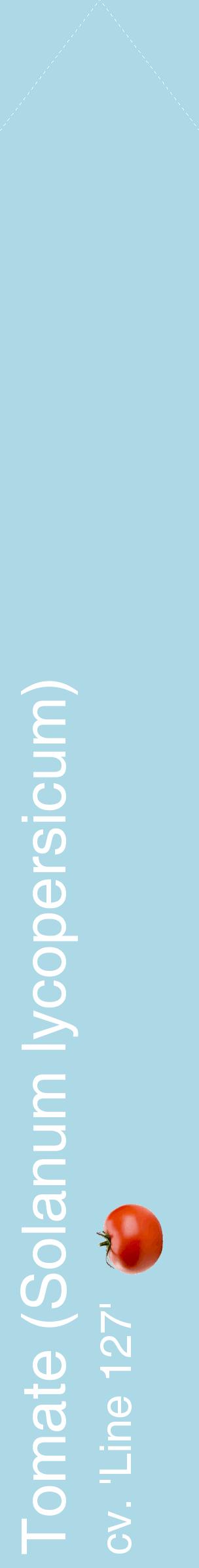 Étiquette de : Solanum lycopersicum cv. 'Line 127' - format c - style blanche0_simplehel avec comestibilité simplifiée