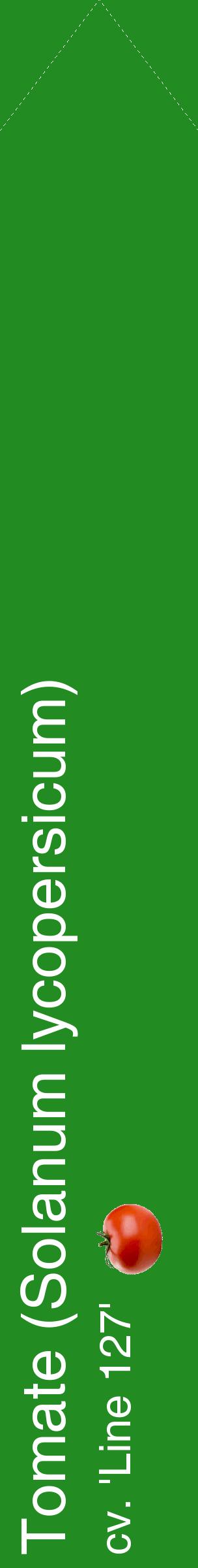 Étiquette de : Solanum lycopersicum cv. 'Line 127' - format c - style blanche10_simplehel avec comestibilité simplifiée