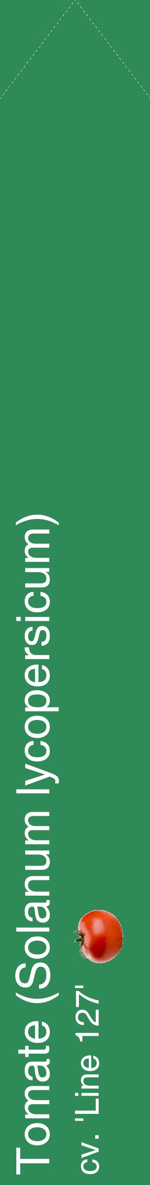 Étiquette de : Solanum lycopersicum cv. 'Line 127' - format c - style blanche11_simplehel avec comestibilité simplifiée