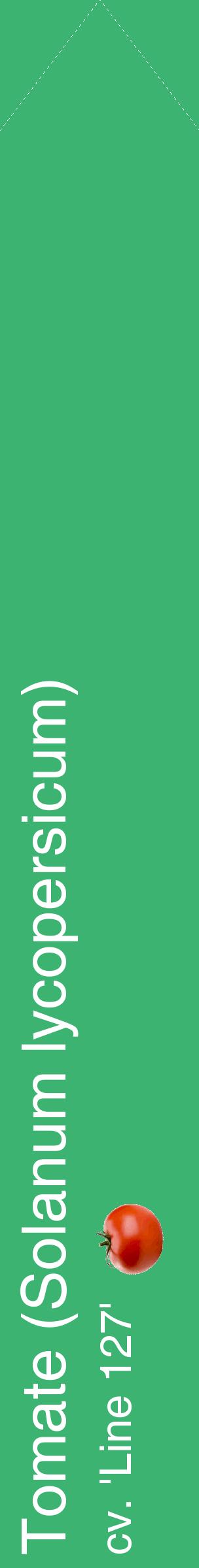 Étiquette de : Solanum lycopersicum cv. 'Line 127' - format c - style blanche12_simplehel avec comestibilité simplifiée
