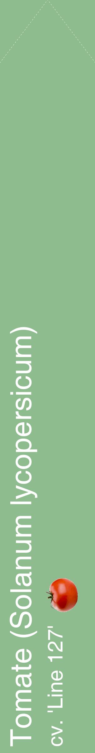 Étiquette de : Solanum lycopersicum cv. 'Line 127' - format c - style blanche13_simplehel avec comestibilité simplifiée