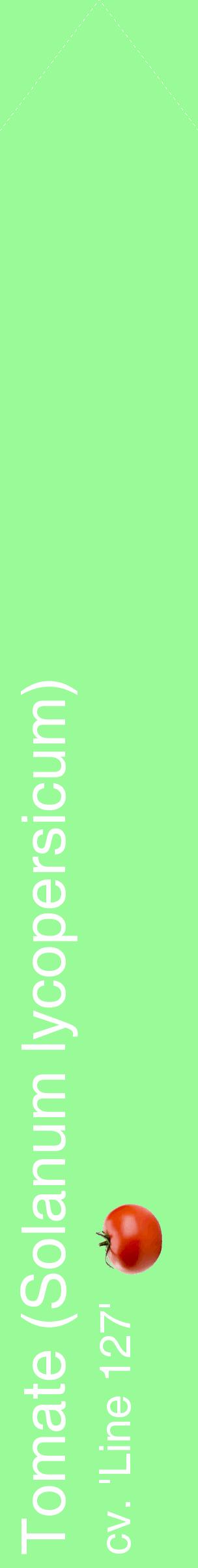 Étiquette de : Solanum lycopersicum cv. 'Line 127' - format c - style blanche14_simplehel avec comestibilité simplifiée