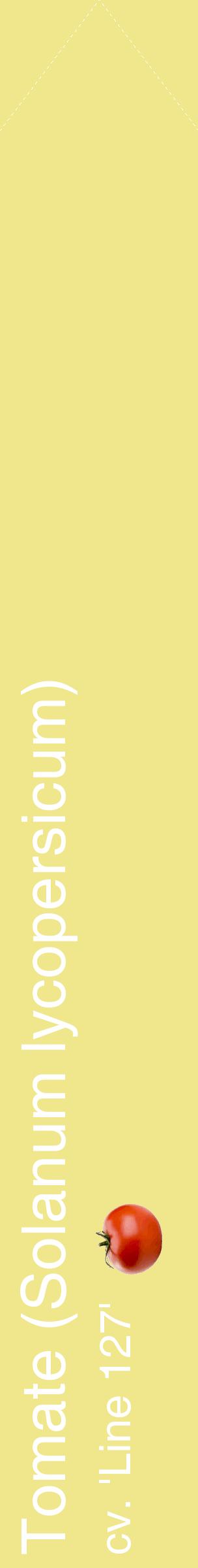 Étiquette de : Solanum lycopersicum cv. 'Line 127' - format c - style blanche20_simplehel avec comestibilité simplifiée