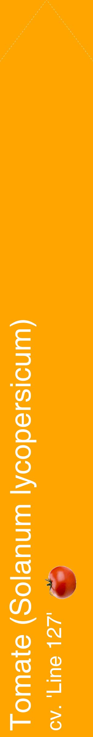 Étiquette de : Solanum lycopersicum cv. 'Line 127' - format c - style blanche22_simplehel avec comestibilité simplifiée