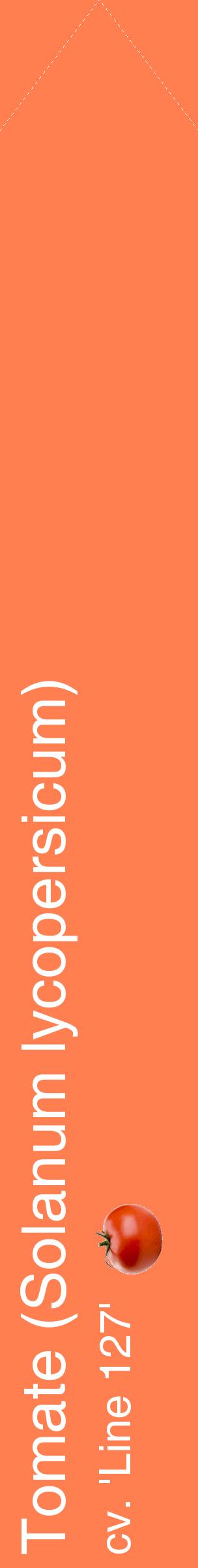 Étiquette de : Solanum lycopersicum cv. 'Line 127' - format c - style blanche24_simplehel avec comestibilité simplifiée