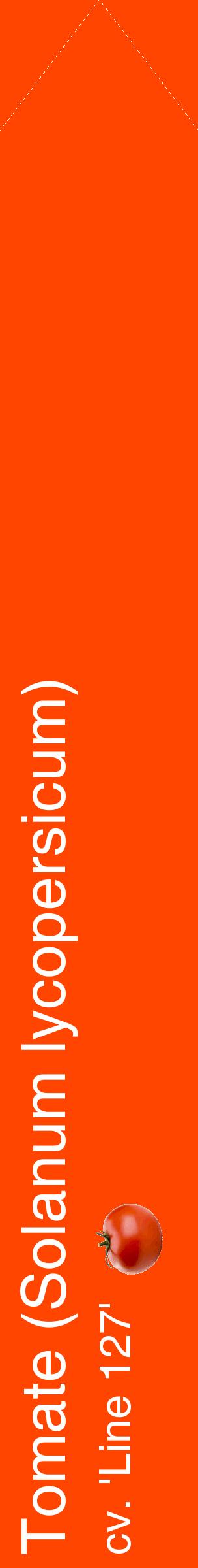 Étiquette de : Solanum lycopersicum cv. 'Line 127' - format c - style blanche26_simplehel avec comestibilité simplifiée