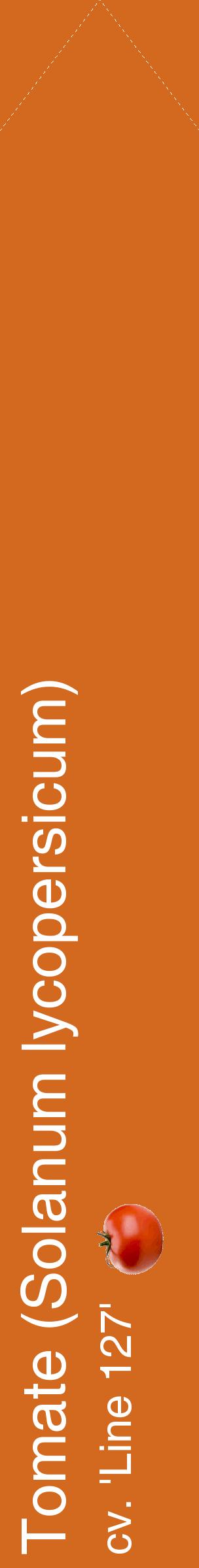 Étiquette de : Solanum lycopersicum cv. 'Line 127' - format c - style blanche31_simplehel avec comestibilité simplifiée