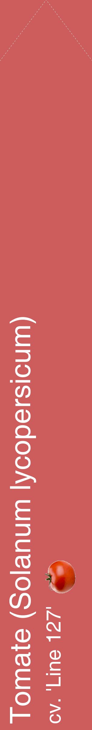 Étiquette de : Solanum lycopersicum cv. 'Line 127' - format c - style blanche35_simplehel avec comestibilité simplifiée