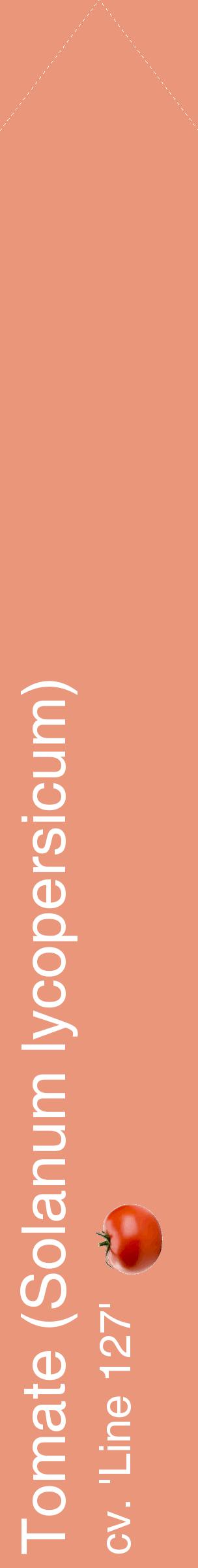 Étiquette de : Solanum lycopersicum cv. 'Line 127' - format c - style blanche37_simplehel avec comestibilité simplifiée