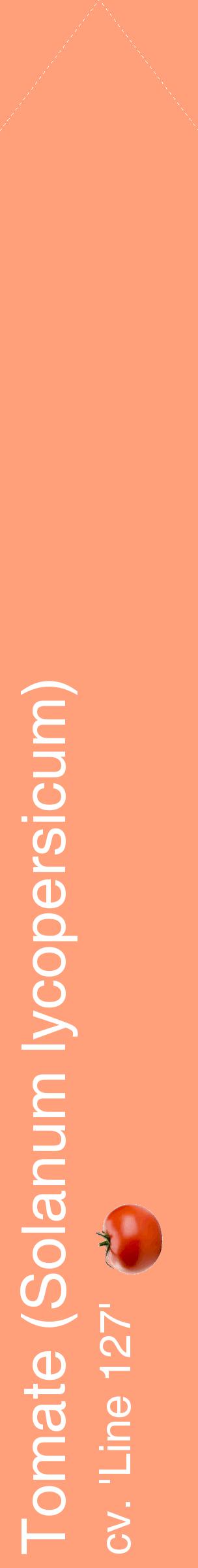 Étiquette de : Solanum lycopersicum cv. 'Line 127' - format c - style blanche39_simplehel avec comestibilité simplifiée